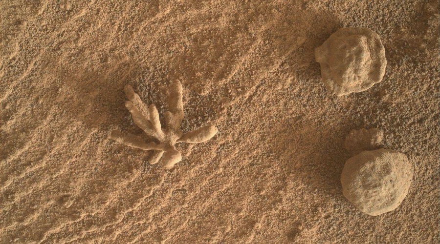 El rover Curiosity muestra una pequeña ‘flor metálica’ en Marte: The Tribune India
