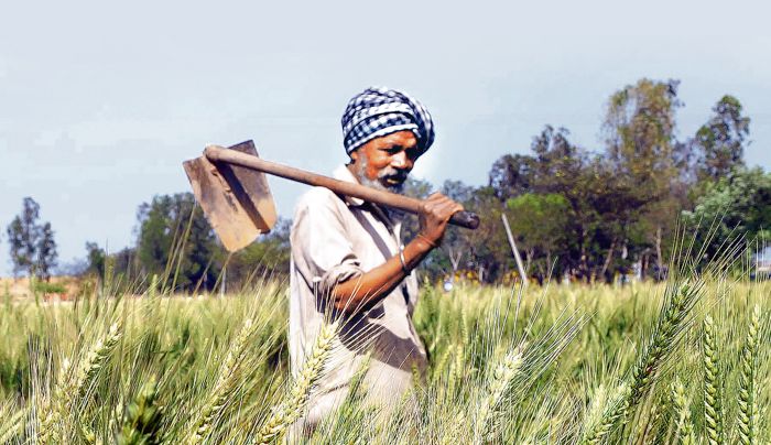 Investments in agri-tech start-ups rise sharply to nearly Rs 6,600 crore in 4 years till 2020: Report