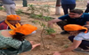 US-based Sikh organisation plants 400 sacred forests as part of climate action