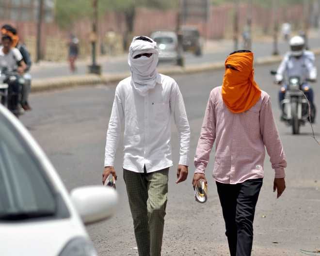Heat wave to intensify in Northwest, parts of central India: IMD