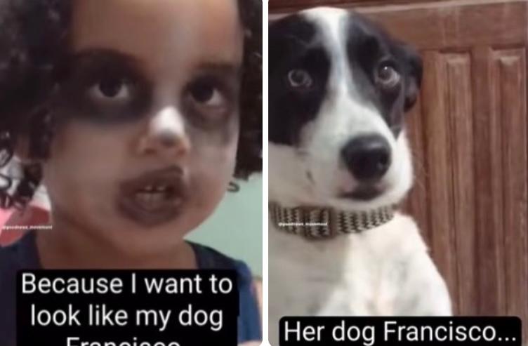 Toddler gives herself makeover to look like her pet dog, see adorable video