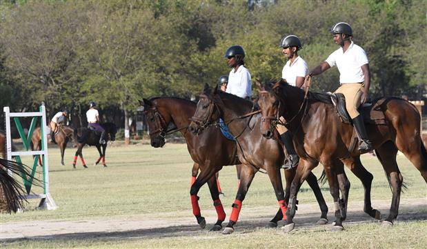 Equestrian Meet: Rajasthan cop bags gold in show jumping
