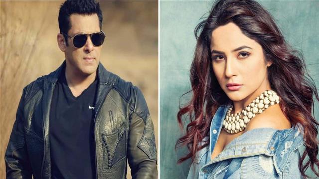 Shehnaaz Gill to make her Bollywood debut with Salman Khan's ‘Kabhi Eid Kabhi Diwali’: Report