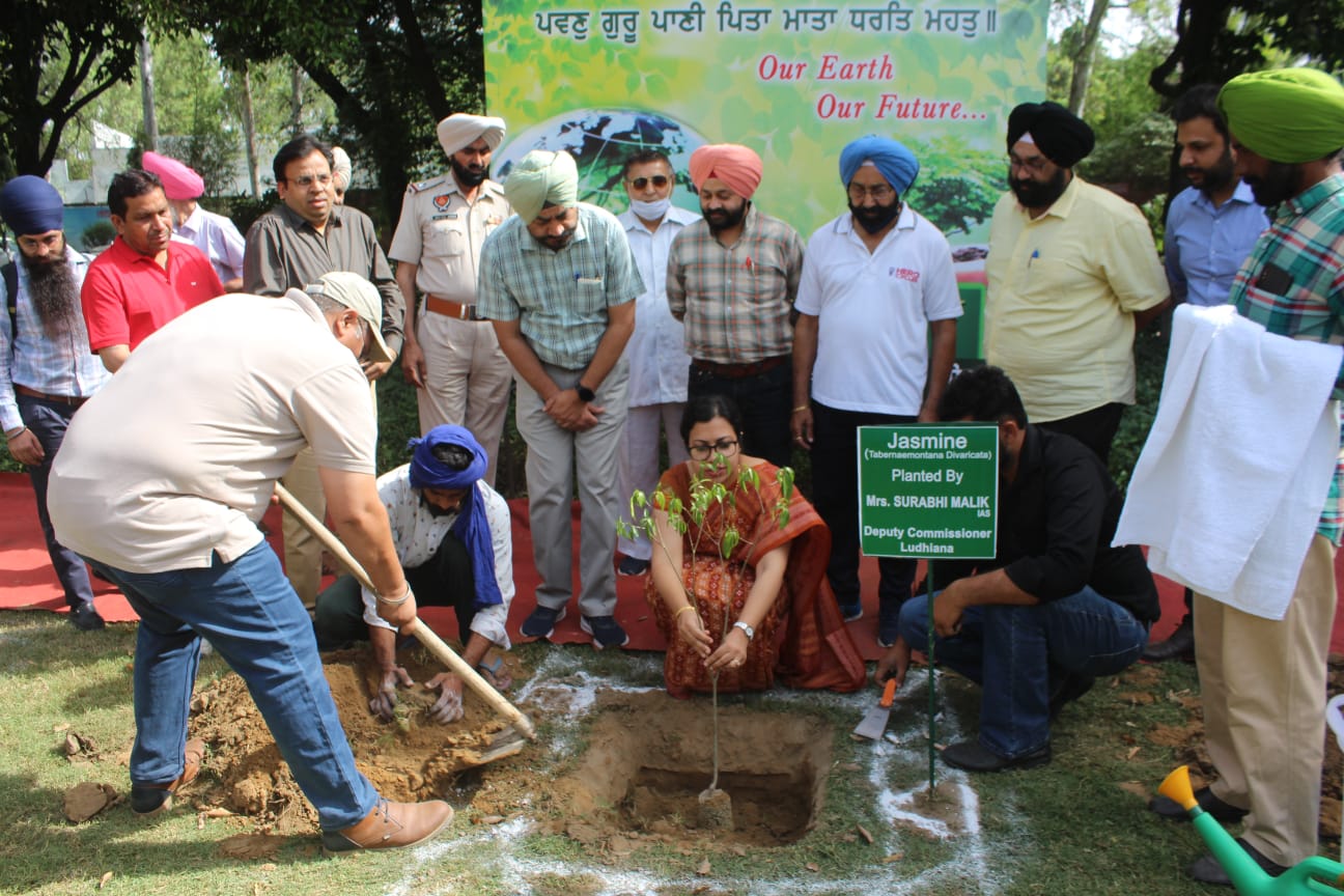 Plant trees for a greener tomorrow: Ludhiana DC to residents
