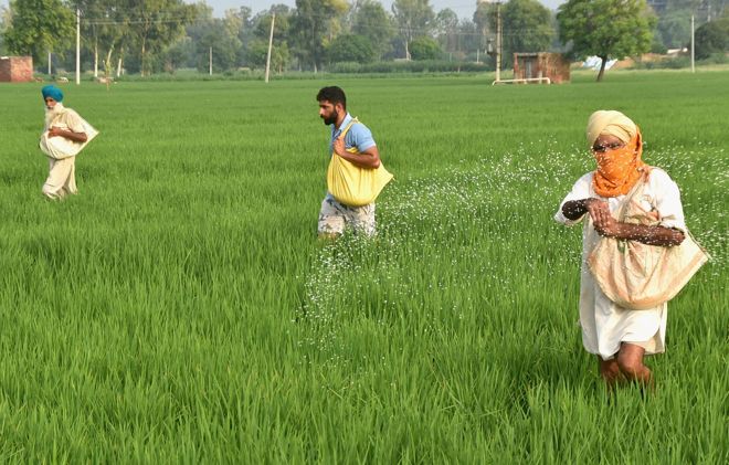 Loan default: Ferozepur farmers get warrant