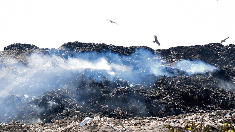 Chandigarh Municipal Corporation invites bids for biomining 7.5L MT waste at Dadu Majra dumping ground