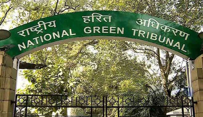 Fix deadline for completion of projects, NGT tells civic bodies