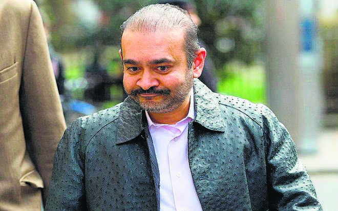 Key official of diamantaire Nirav Modi company deported from Egypt: Officials