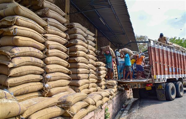 16 tonnes of wheat procured in Punjab on Day 1