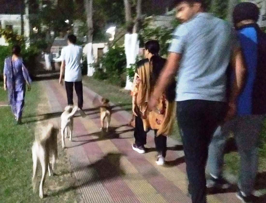 Dog scare in  Jagadhri