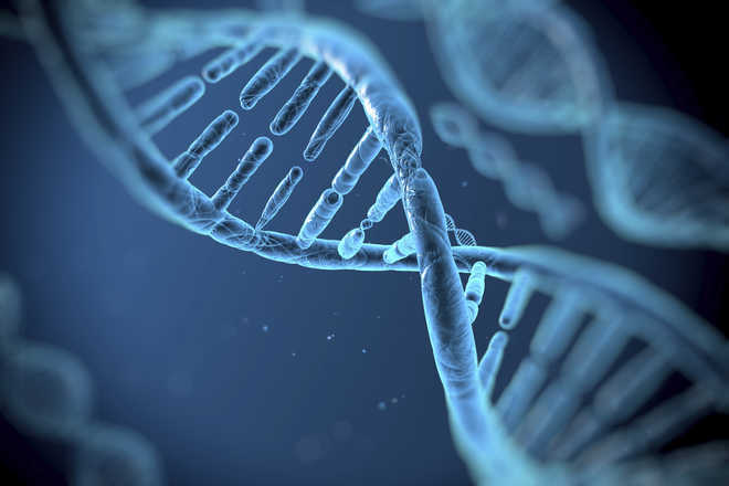 After 22 years, scientists have fully sequenced human genome
