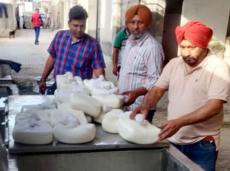 12,500-kg skimmed milk powder, 620-kg paneer seized in Samana