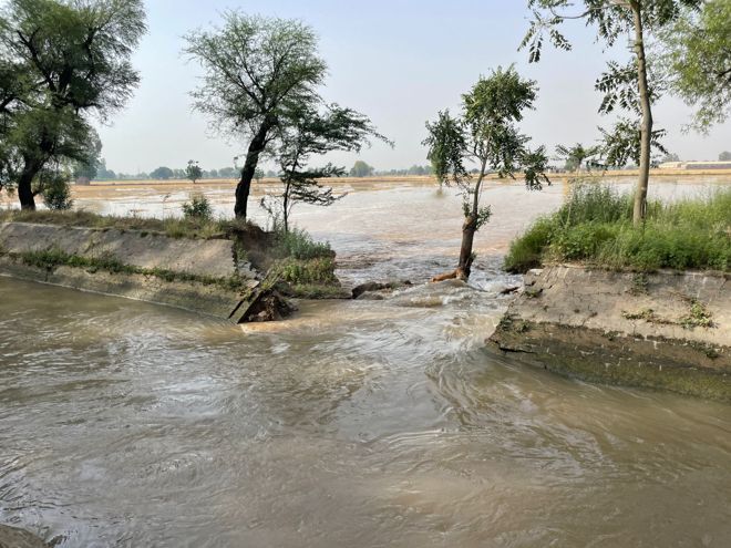 Breach in Sirhind canal tributary, 25 acres flooded