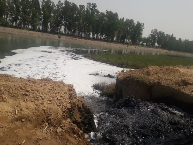 NGT orders flouted, untreated waste water of Yamunanagar, Jagadhri released into Western Jamuna Canal