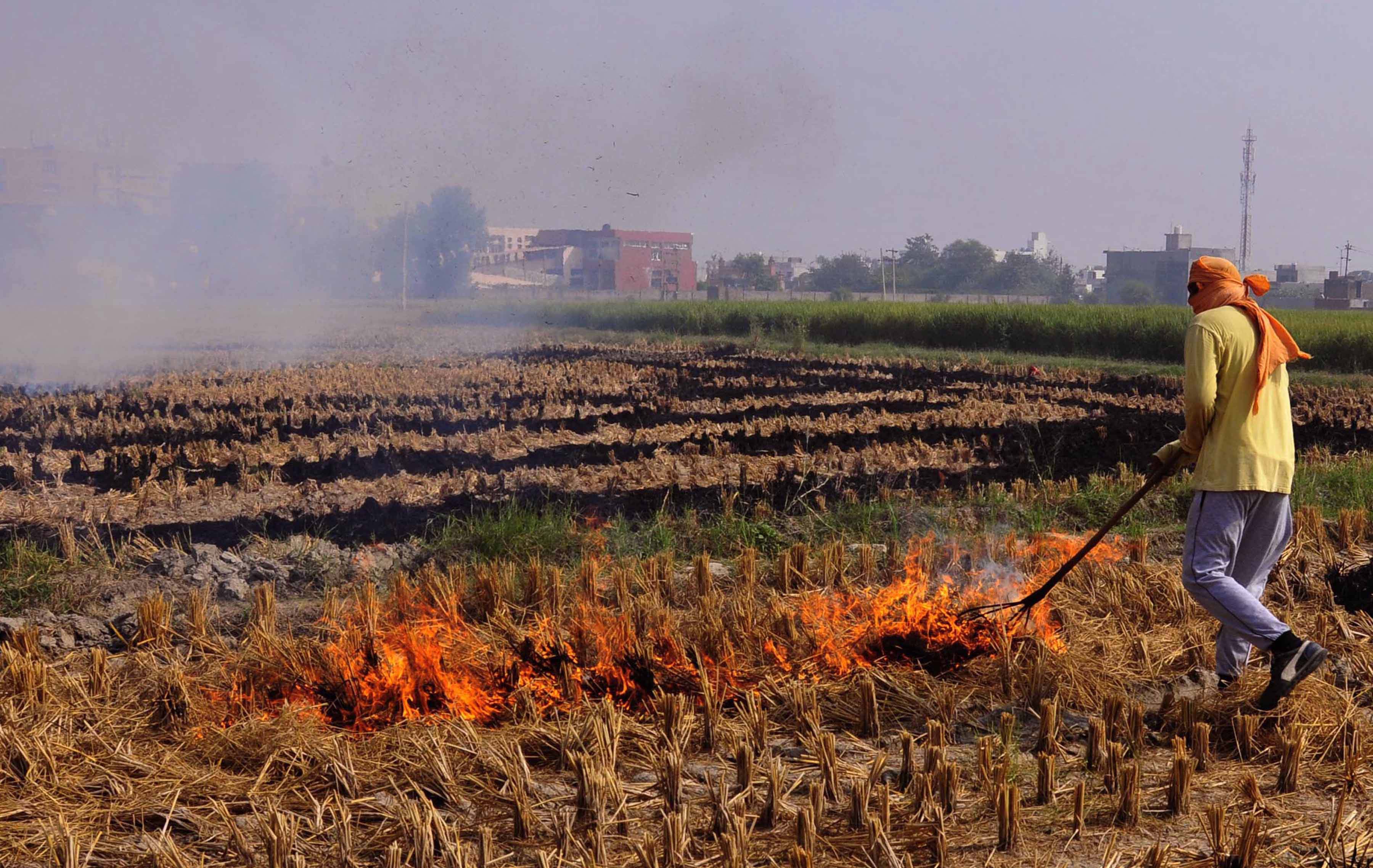 No let-up in farm fires in Punjab