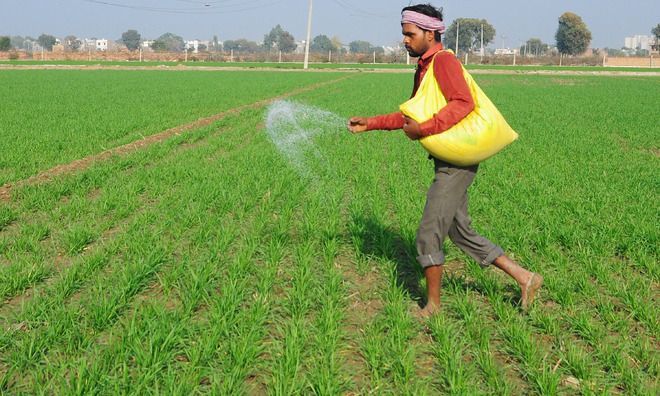 To absorb price rise, Centre hikes fertiliser subsidy