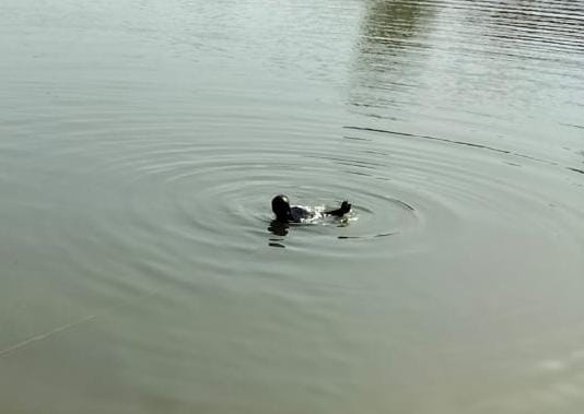 Two brothers drown in Garhshankar village pond