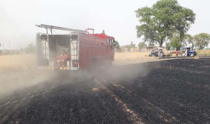Farm fires back in Punjab, dozen cases in past 24 hours