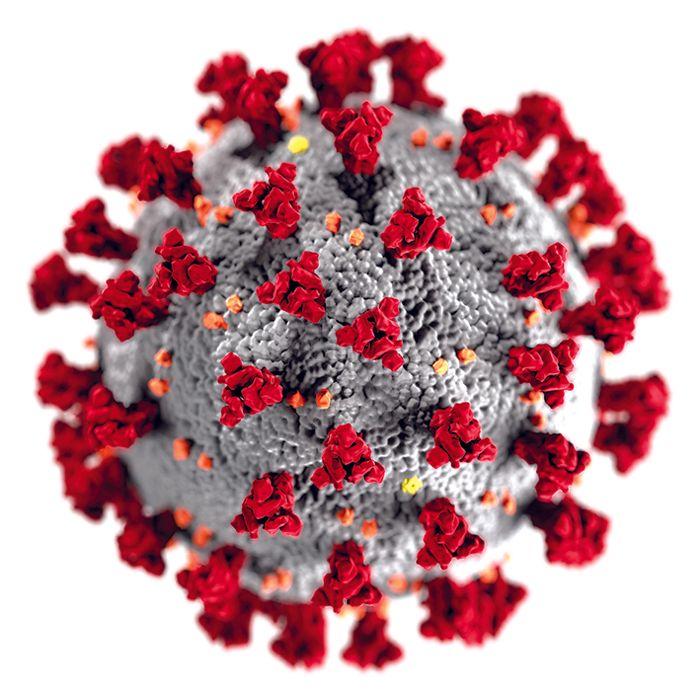 Chandigarh sees four fresh cases of coronavirus