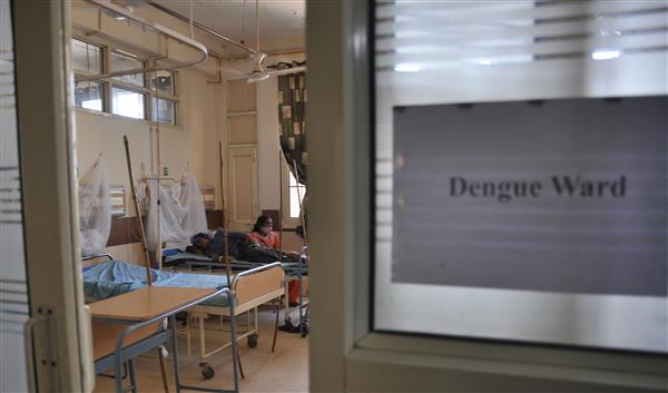 Dengue vaccine: India enters the global race