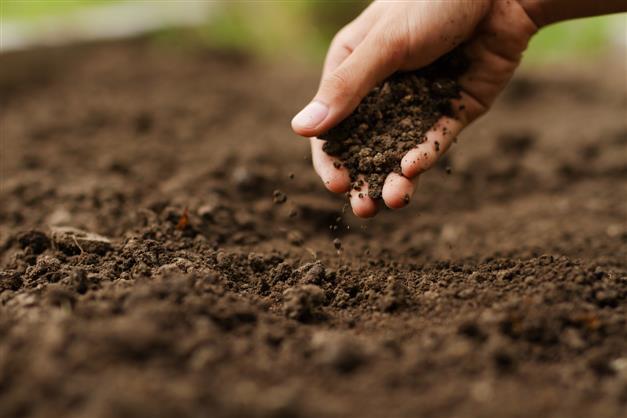 IIT Mandi researchers develop sustainable methods of soil stabilisation using bacteria