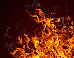 Showroom catches fire in Rewari