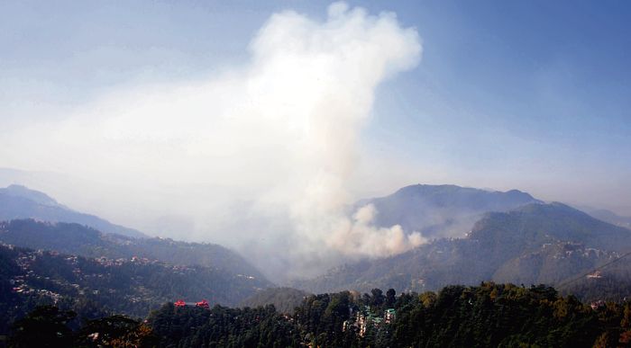 Rising mercury sparks forest fires in Dharamsala, Mandi, Solan