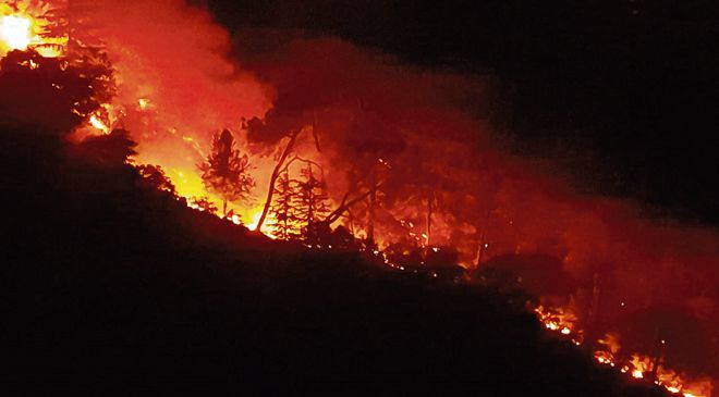 Himachal: Massive fire at Dagshai forest