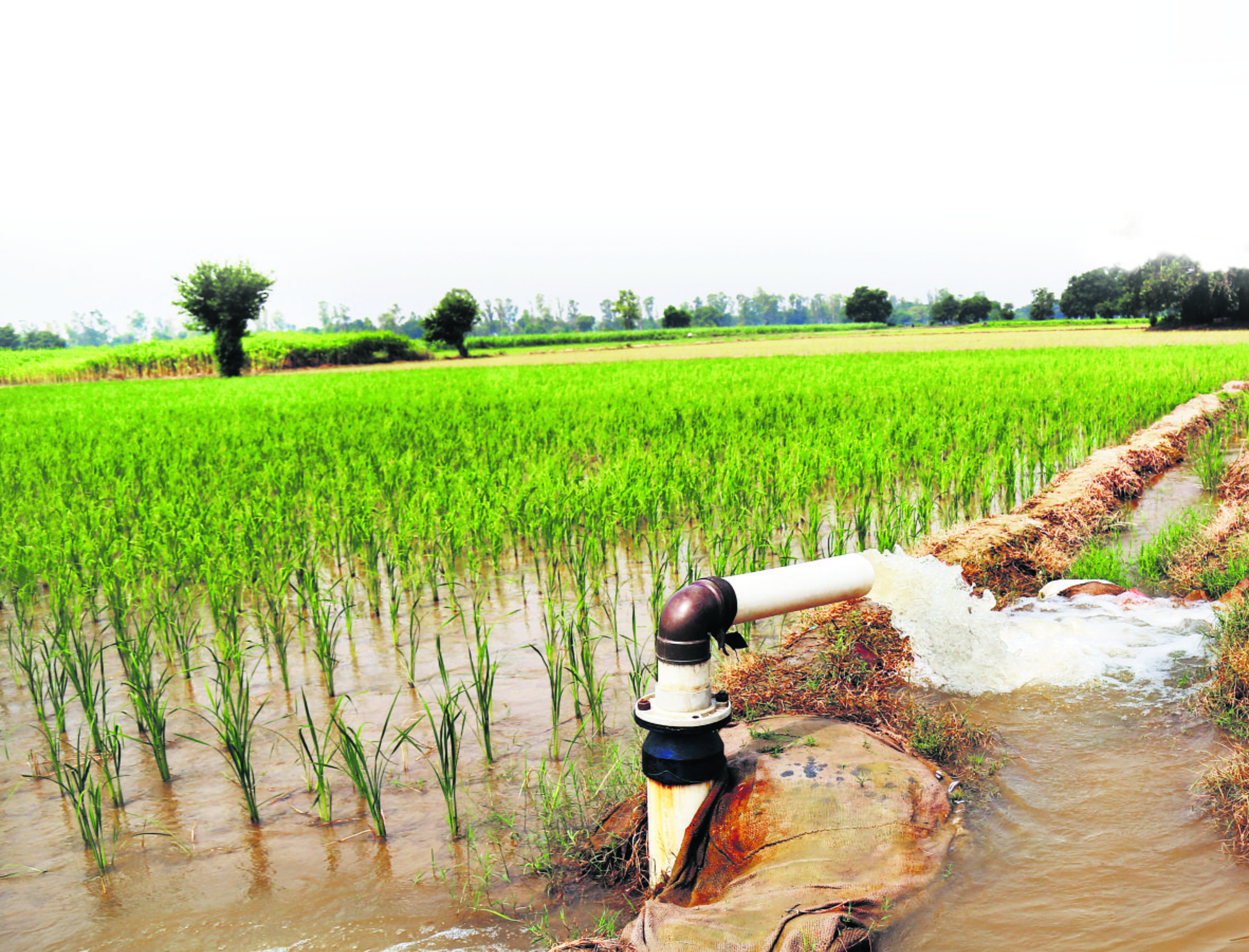 Groundwater harder than canal water in Karnal: Report