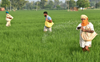 Loan default: Ferozepur farmers get warrant