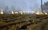 2,029 farm fires logged in 48 hrs