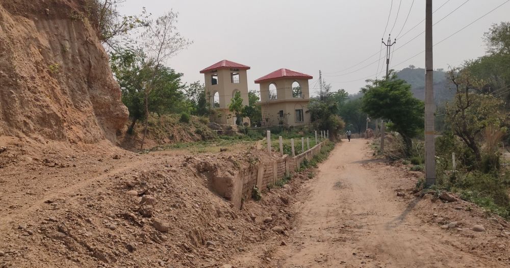 500 trees uprooted for farmhouses in Nayagaon; Chandigarh real estate dealer to face action