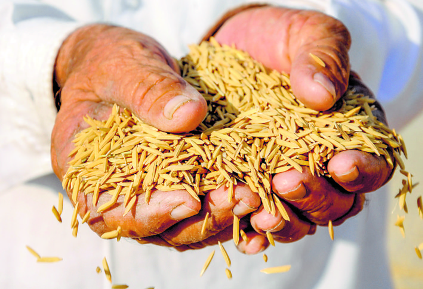 Fixing MSP for kharif crops a challenge for Centre