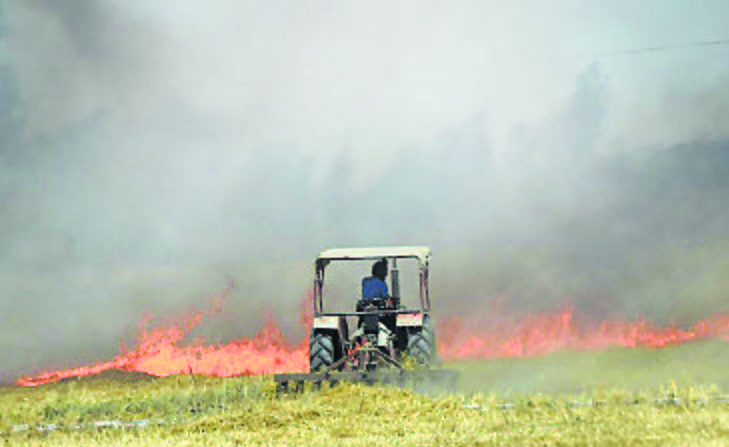 In Haryana, straw burning cases dip as fodder prices rise