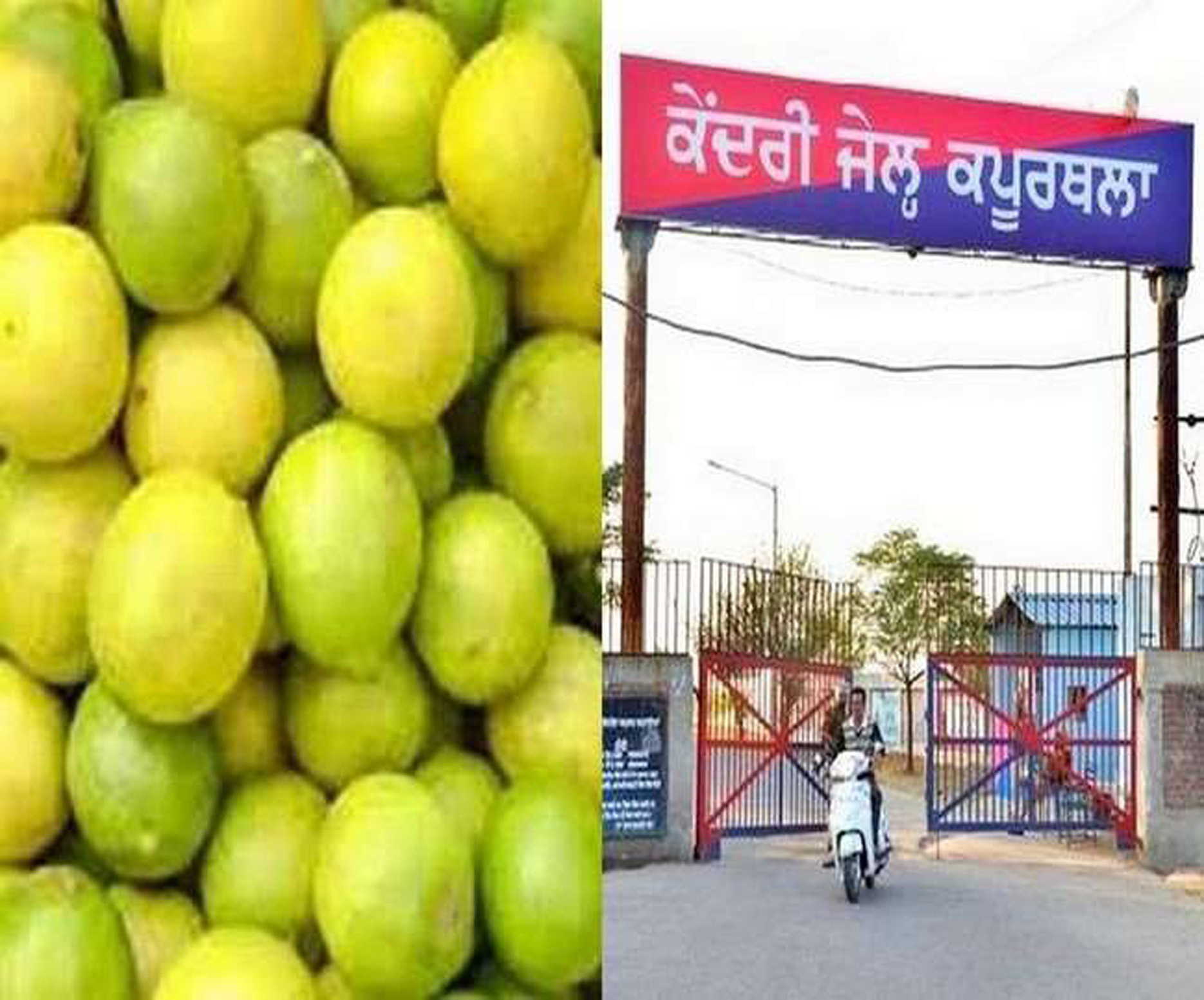 Kapurthala Jail Superintendent suspended over lemon fraud