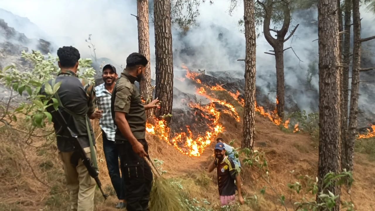 Forest fire triggers several landmine explosions along LoC in J-K's Poonch