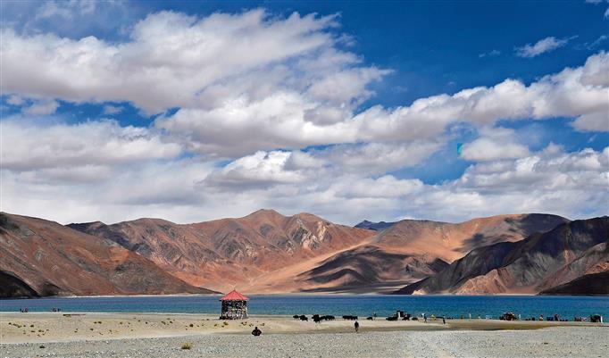 Taking apt steps: MEA on new China bridge across Pangong Lake in eastern Ladakh