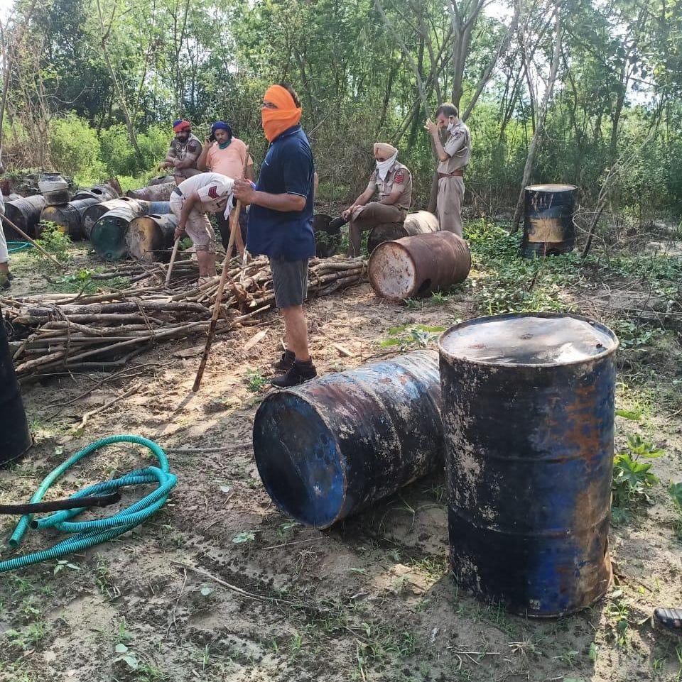 Ludhiana excise teams carry out search in Bet area; destroy 2.8 lakh kg of 'lahan' and 100 litres of illicit liquour