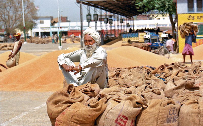 SAD seeks Rs 500/quintal relief for Punjab farmers