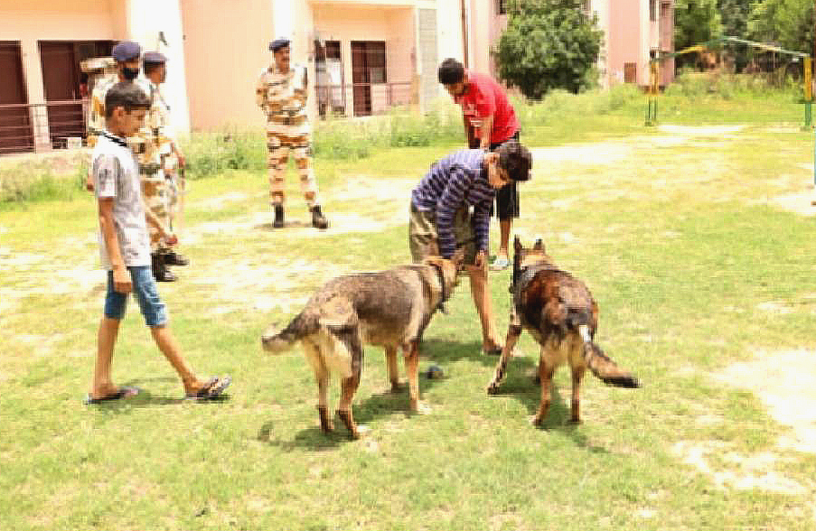 ITBP's retired dogs to be used for therapy of autism-affected children in  Chandigarh