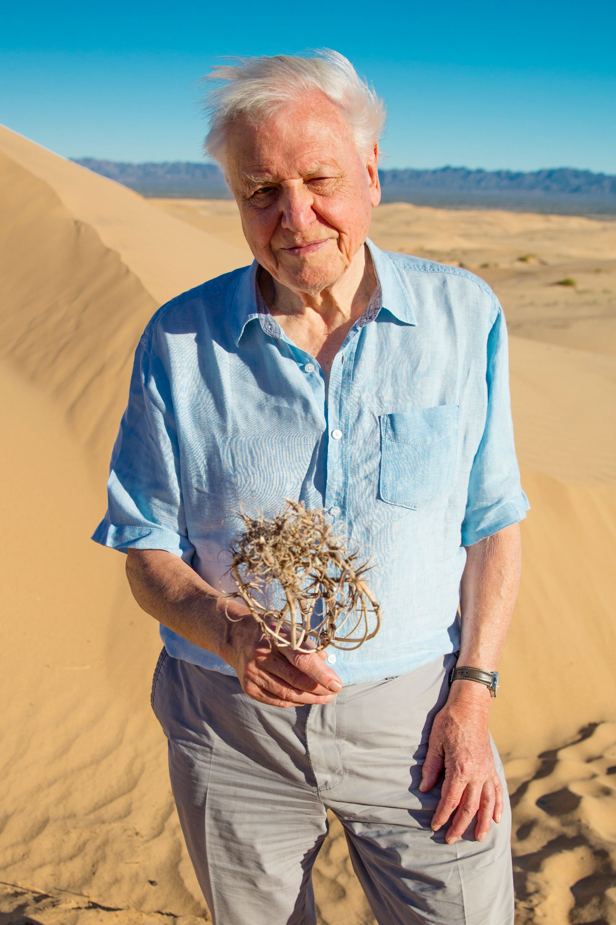 Sir David Attenborough opens up on The Green Planet show