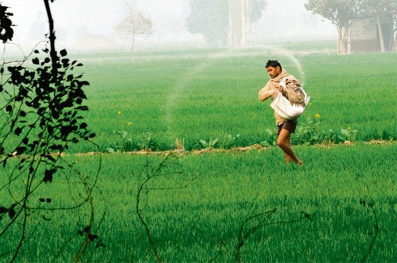 'Make optimum use of pesticides', experts launch campaign to educate Haryana farmers