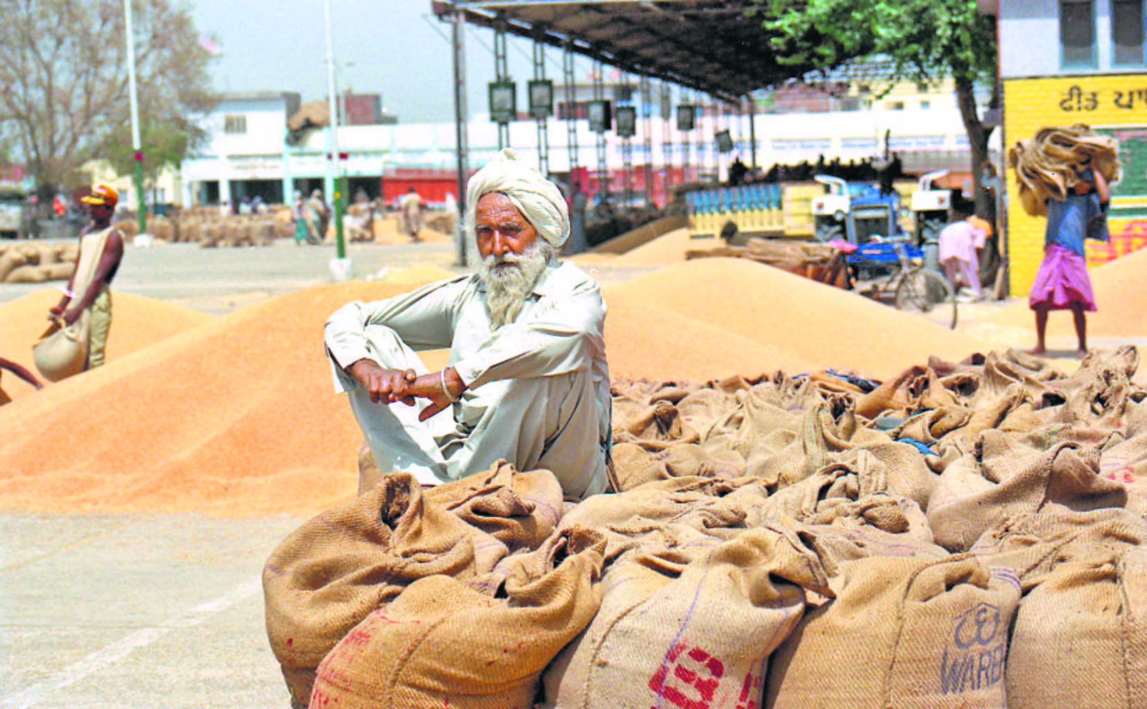 Government bans wheat export to rein in food inflation