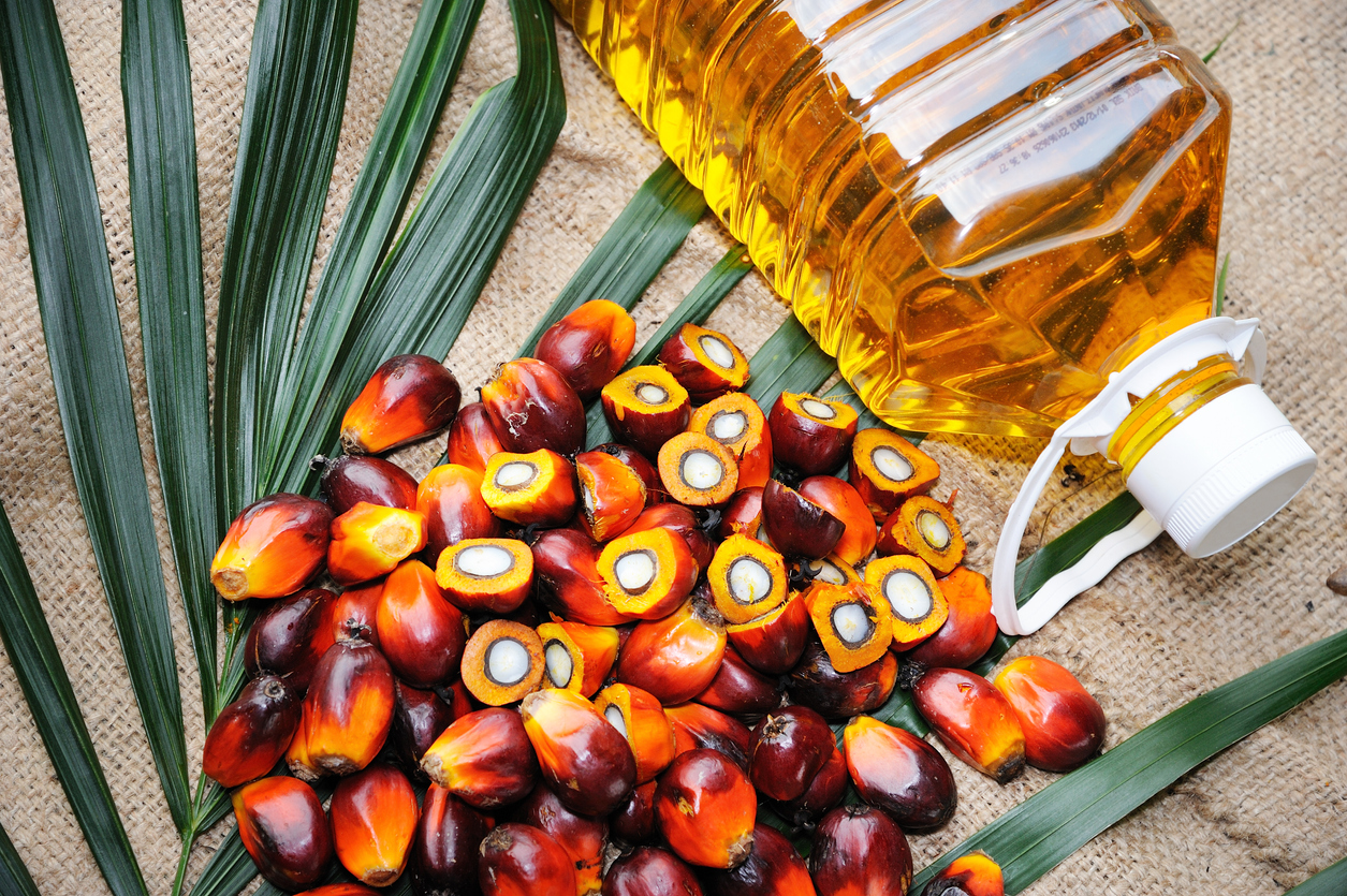 Indonesia’s ban on palm oil exports a concern but impact to be transitory: FMCG industry