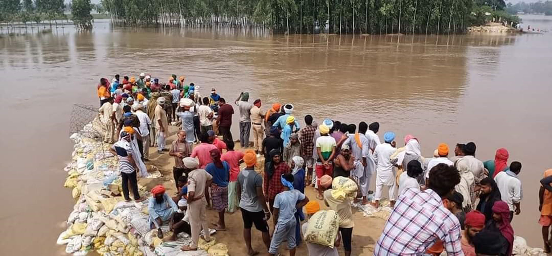 Ahead of monsoon, Jalandhar villagers want Sutlej banks to be fortified; seek bolstering Phillaur-Darewal stretch