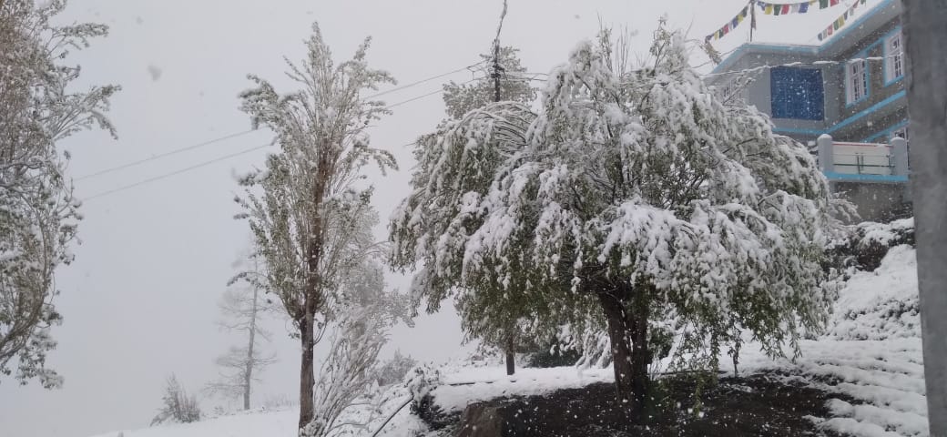 Snow hits traffic on Manali-Leh highway