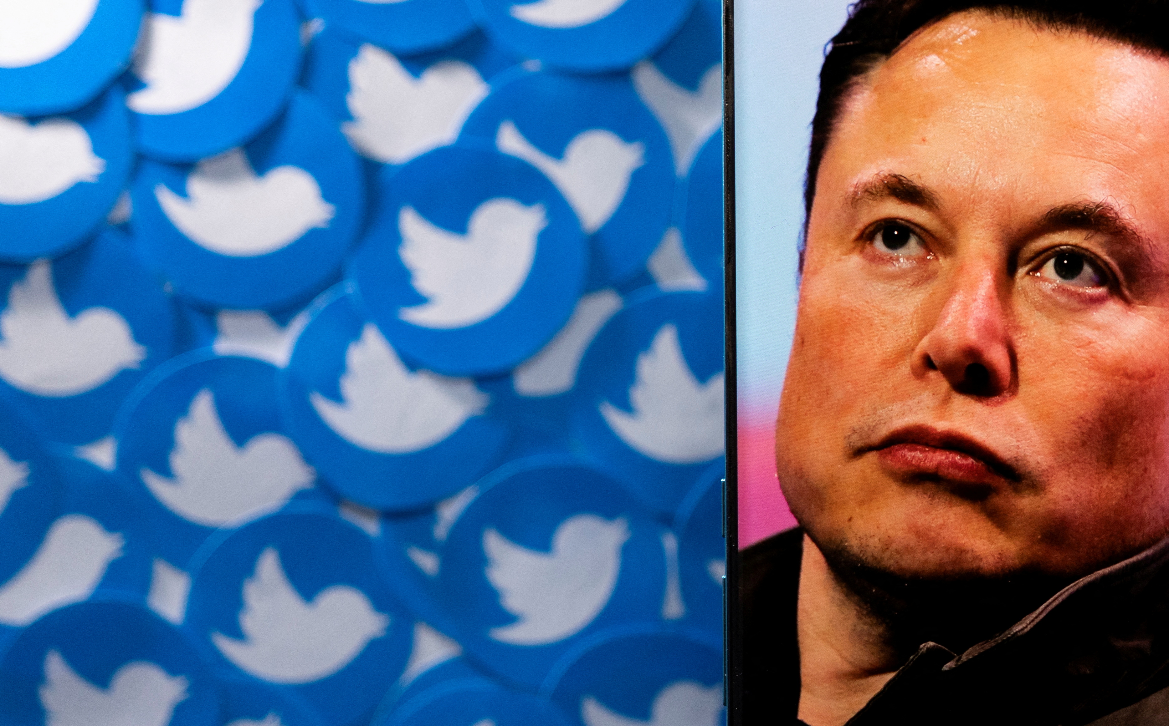 Elon Musk now gets busy counting fake, spammy accounts on Twitter
