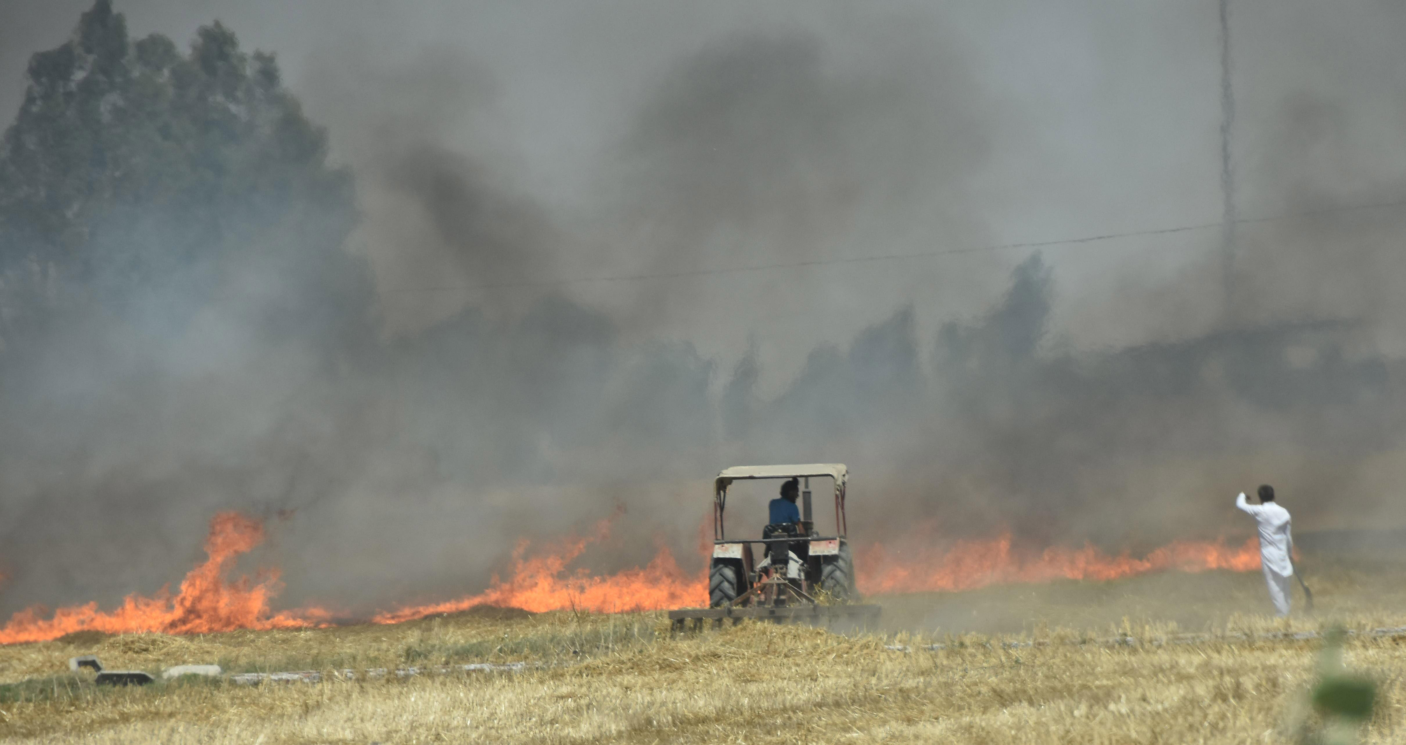 Farm fires double than last season, but less than 2020, 2019 in district