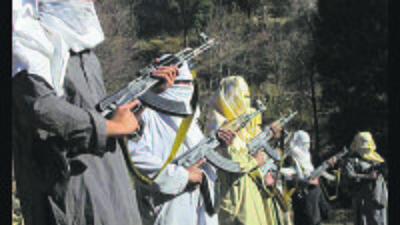Anti-India terrorist groups present in Af: UNSC report