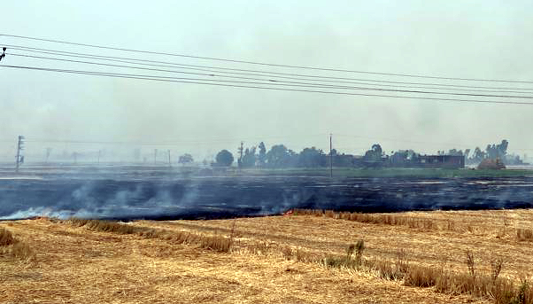 Stubble burning on the rise in Amritsar as farmers get ready for next crop